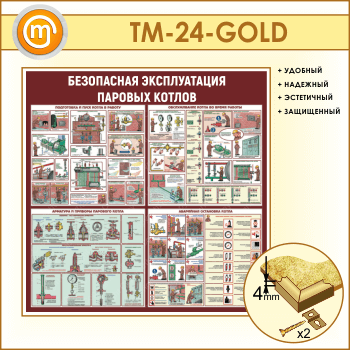      (TM-24-GOLD)